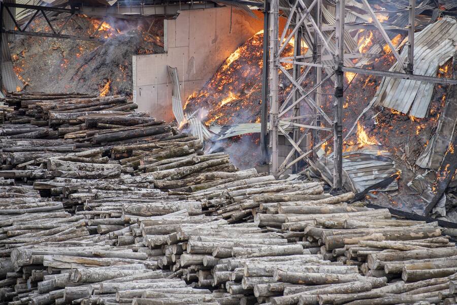 Feuerwehrleute loeschen einen Brand bei der Swiss Krono AG in Menznau, am Mittwoch, 9. August 2023. Auf dem Firmengelaende der Swiss Krono AG in Menznau ist am Mittwochmorgen in einer Holzlagerhalle ein Grossbrand ausgebrochen. Im Einsatz stehen 240 Feuerwehrleute. Verletzt wurde laut Polizei niemand. (KEYSTONE/Urs Flueeler)